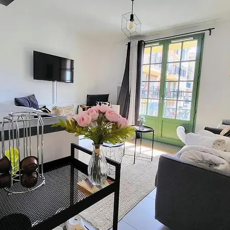 Flamingo 2pax-wifi-nice Port