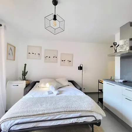 Apartment Flamingo 2pax-wifi-nice Port Nice