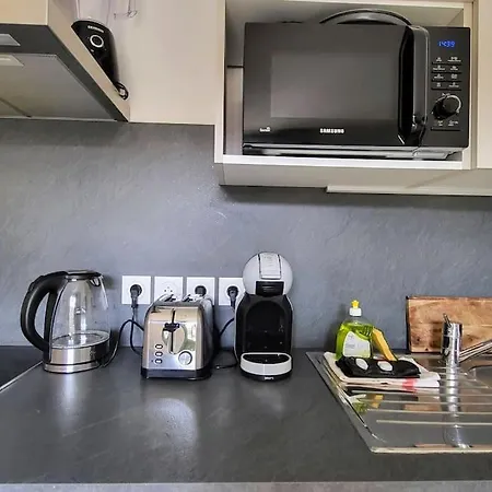 Flamingo 2pax-wifi-nice Port *