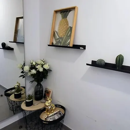 Flamingo 2pax-wifi-nice Port Apartment